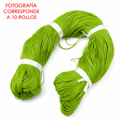 Hilo Similar Cuero de Chivo-Encerado Verde Encendido 1mm (Rollo 60mt)