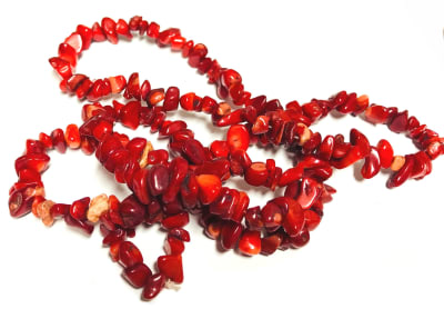 Coral Rojo Natural Chips (Tira)