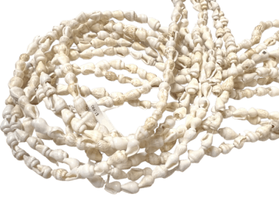 Tira Conchitas Mar Extra Larga (Tira)