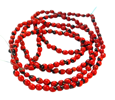 Semilla de Huayruro-Peonia Mini 5-6mm (Tira)1