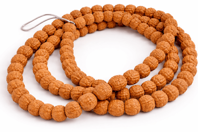 Rudraksha Rudra Natural 8mm (Tira)1