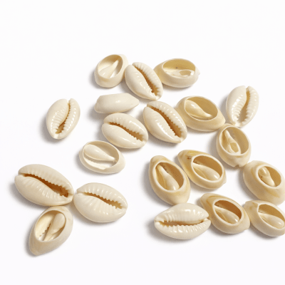 Conchita Mar Natural Perforada 18x13mm (10 Unidades)