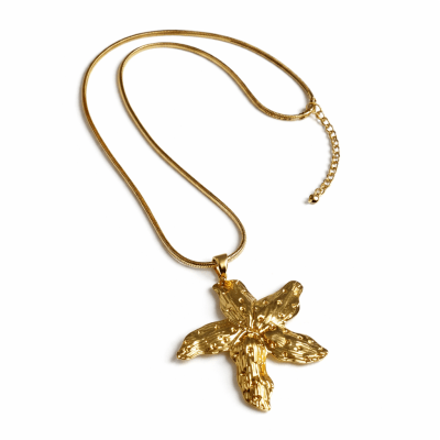 Collar Acero Quirúrgico Dorado Estrella de Mar 2 (Set)1