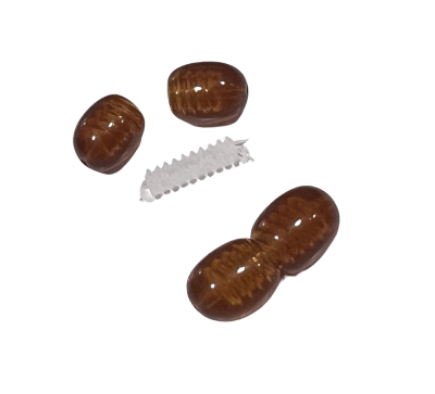 Broche Acrílico para Ámbar Oscuro 15mm (Unidad)