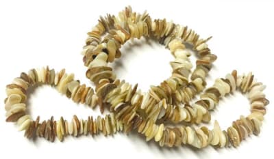 Madre Perla Natural Chips (Tira)