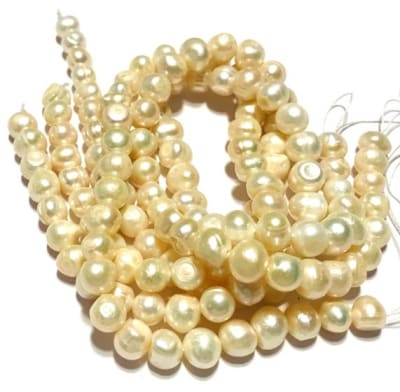 Perla Natural Potato Crema 8-9mm (Tira)1