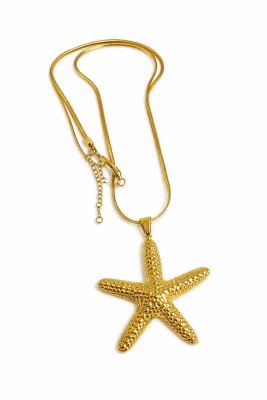 Collar Acero Quirúrgico Dorado Estrella de Mar 1 (Set)1