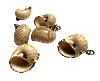 Colgante Conchita de Mar Borde Dorado (Unidad)