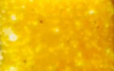 Esmalte para Metal Color Amarillo (10 gramos)