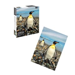 Puzzle 1000 Piezas  Pinguino Rey Punta Arenas Paisajes Chilenos - Pronobel