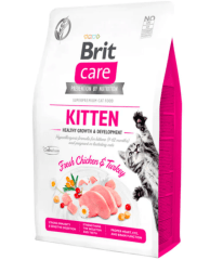 Brit Kitten Growth & Development