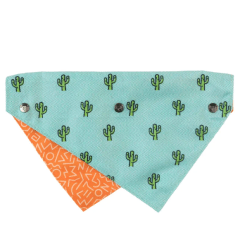 Bandana Perro Tucson