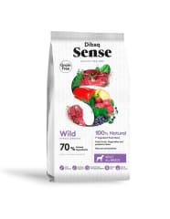 Sense Adulto Wild Jabalí Ciervo