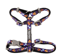 Set Paseo Gato
