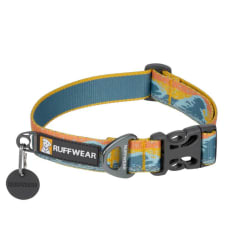 Collar Perro Rising Wave