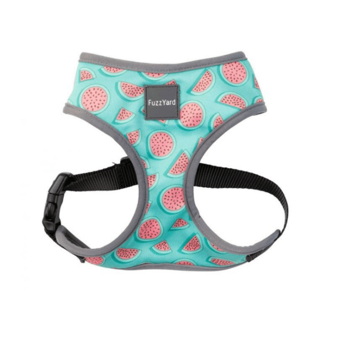 Arnés Perro Summer Punch1