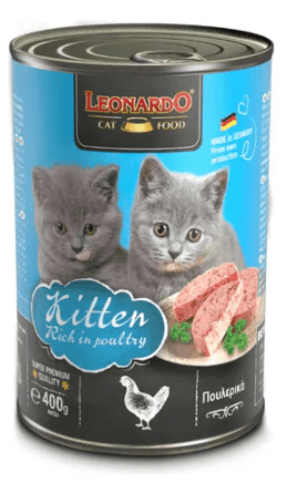 Leonardo Lata Kitten1