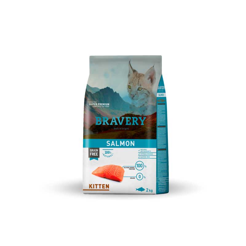 Bravery Kitten Salmón1