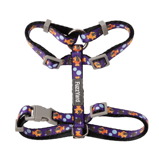 Set Paseo Gato1