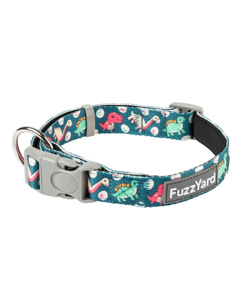 Collar Perro Dinosaur Land1