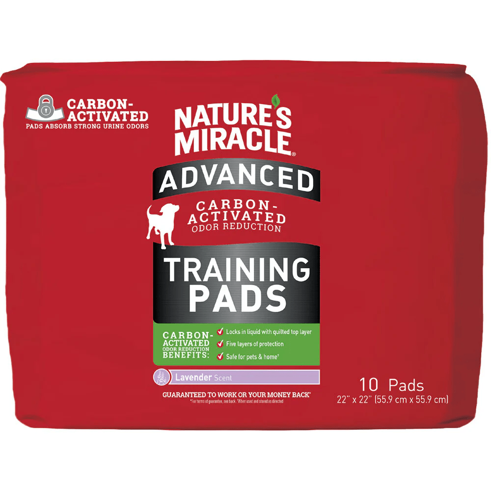 Pañales Desechables Advance Carbón1