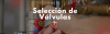 Inicio