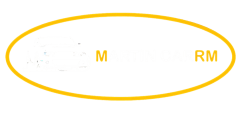 MARTIN CAR RM