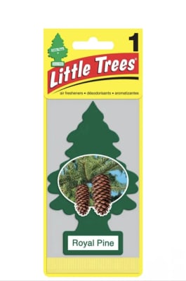 LITTLE TREES PINO ROYAL PINE1