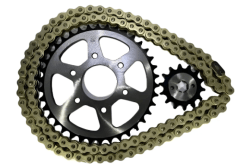 KIT TRANSMISION NS 200 RS 200 14D CADENA DORADA