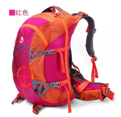 MOCHILA SBS1