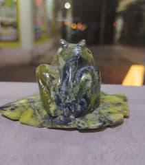 SAPOS SERPENTINA – LLAMADOR DE RIQUEZA