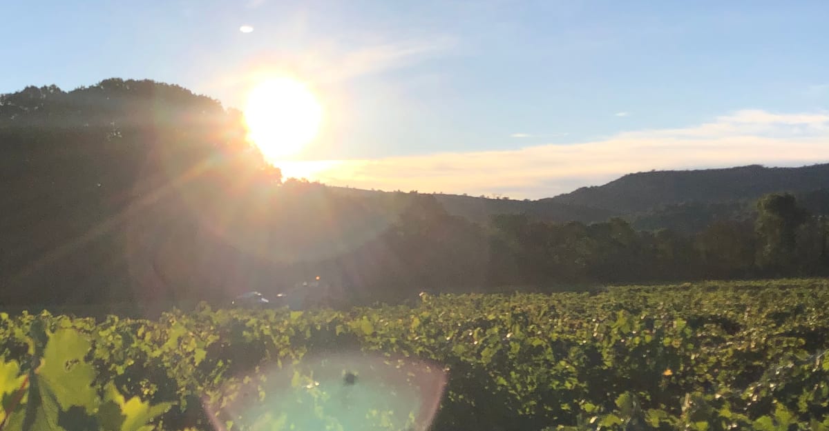 Un viaje a Francia en cada copa
