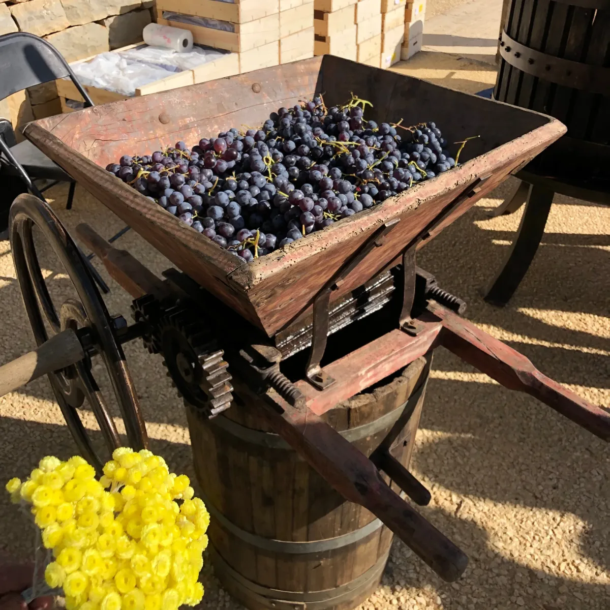 Vinos seleccionados en Francia