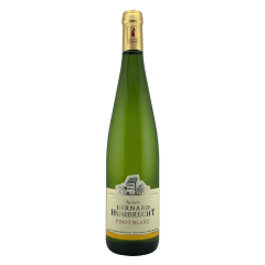 Pinot Blanc