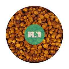 Avellana chilena tostada