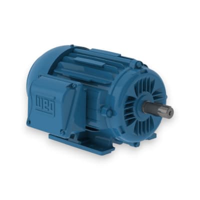MOTOR ELECTRICO W22 INDUSTRIALES VARIEDADES