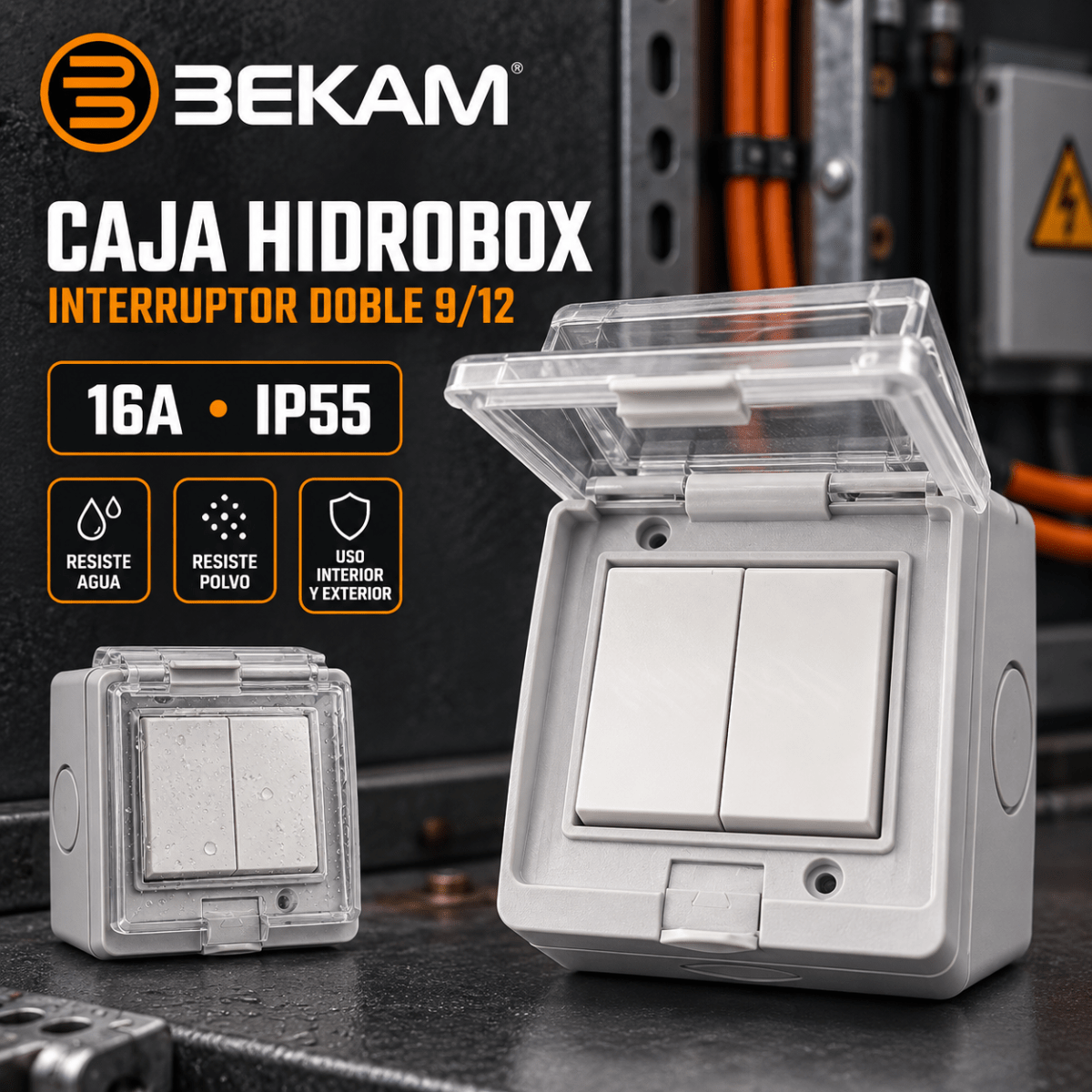 CAJA HIDROBOX CON INTERRUPTOR DOBLE 9/12 16A IP55 0