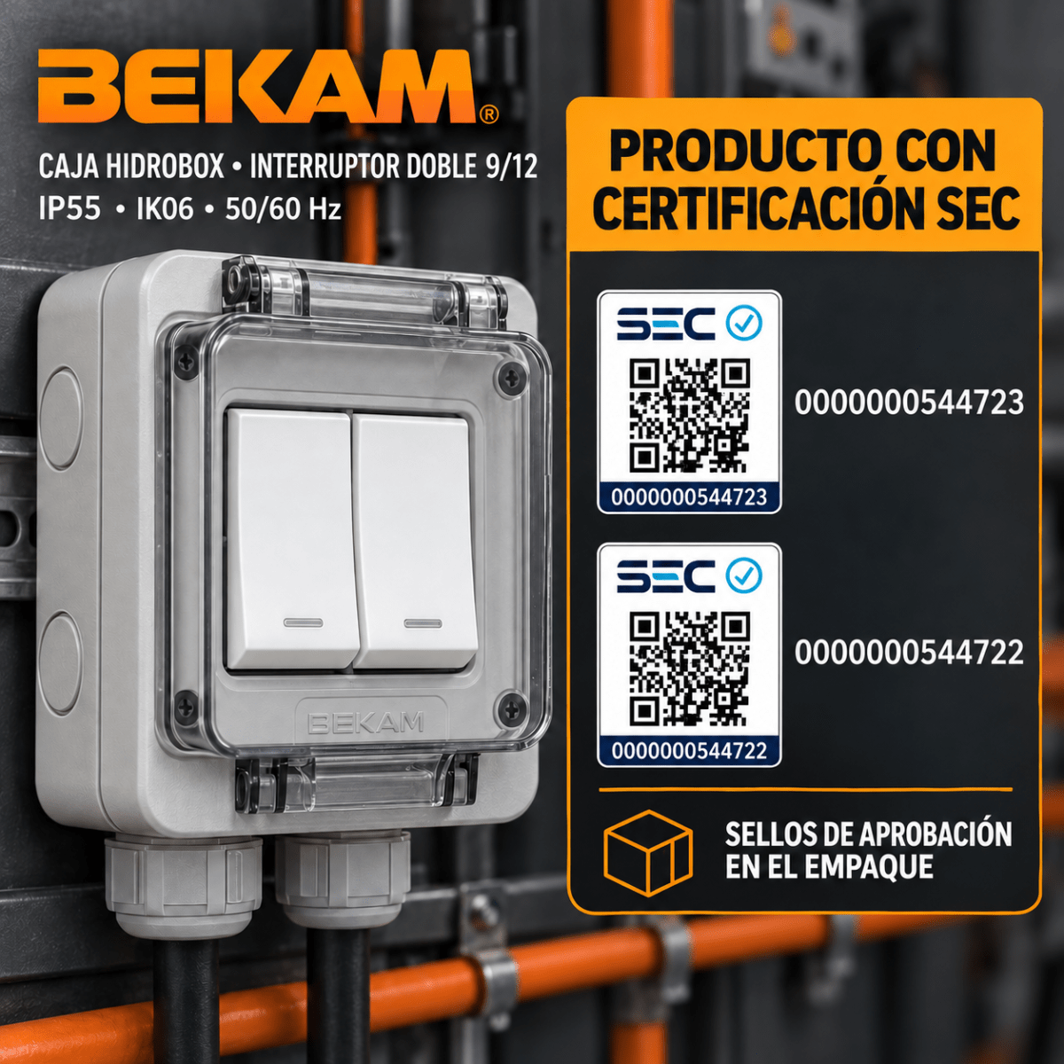 CAJA HIDROBOX CON INTERRUPTOR DOBLE 9/12 16A IP552