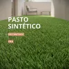 Inicio