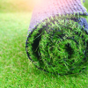 Pasto Alfombra