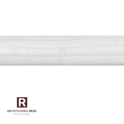 Junquillo Blanco Encina