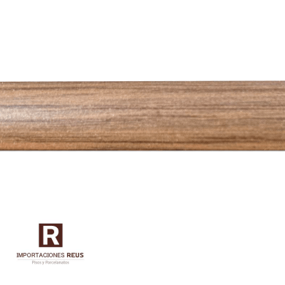 Junquillo Teca Italia