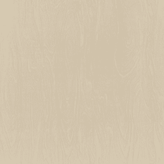 Porcelanato 60X60cm $4.560 xm²  - SALT SOLUBLE AURORA