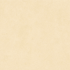 Porcelanato 60X60cm $9.990m²  - Natura Prime