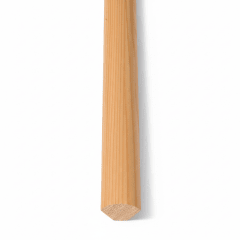 Junquillo Coigue
