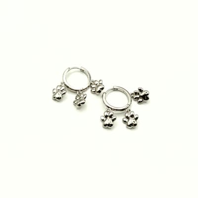 Aros Paw Silver1