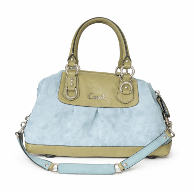 Cartera Coach Ashely1