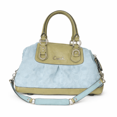 Cartera Coach Ashely