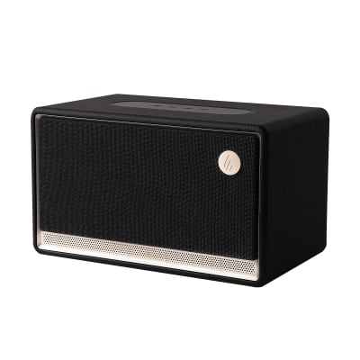 ES300 BLACK1