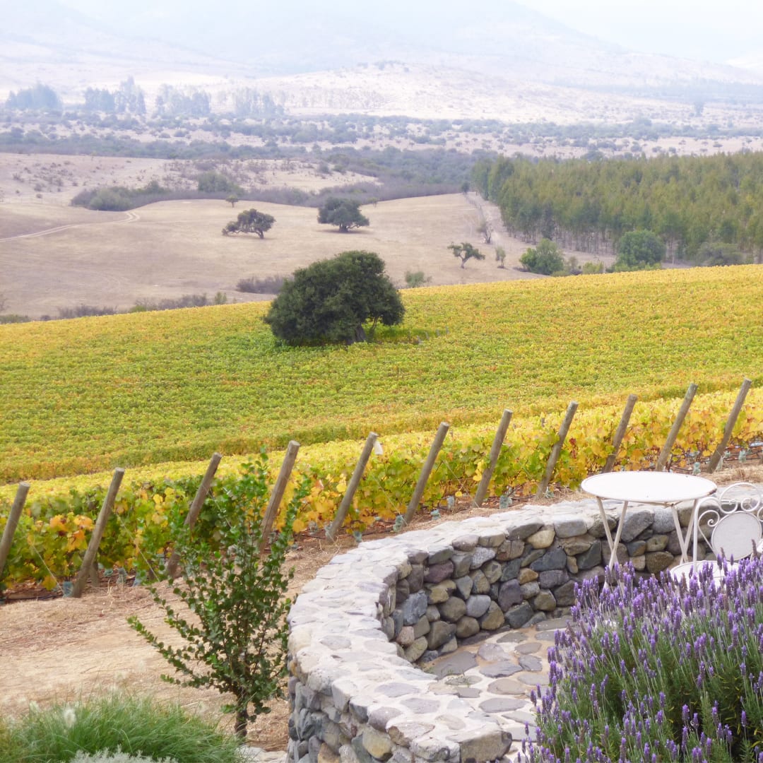 Descripción de la imagen